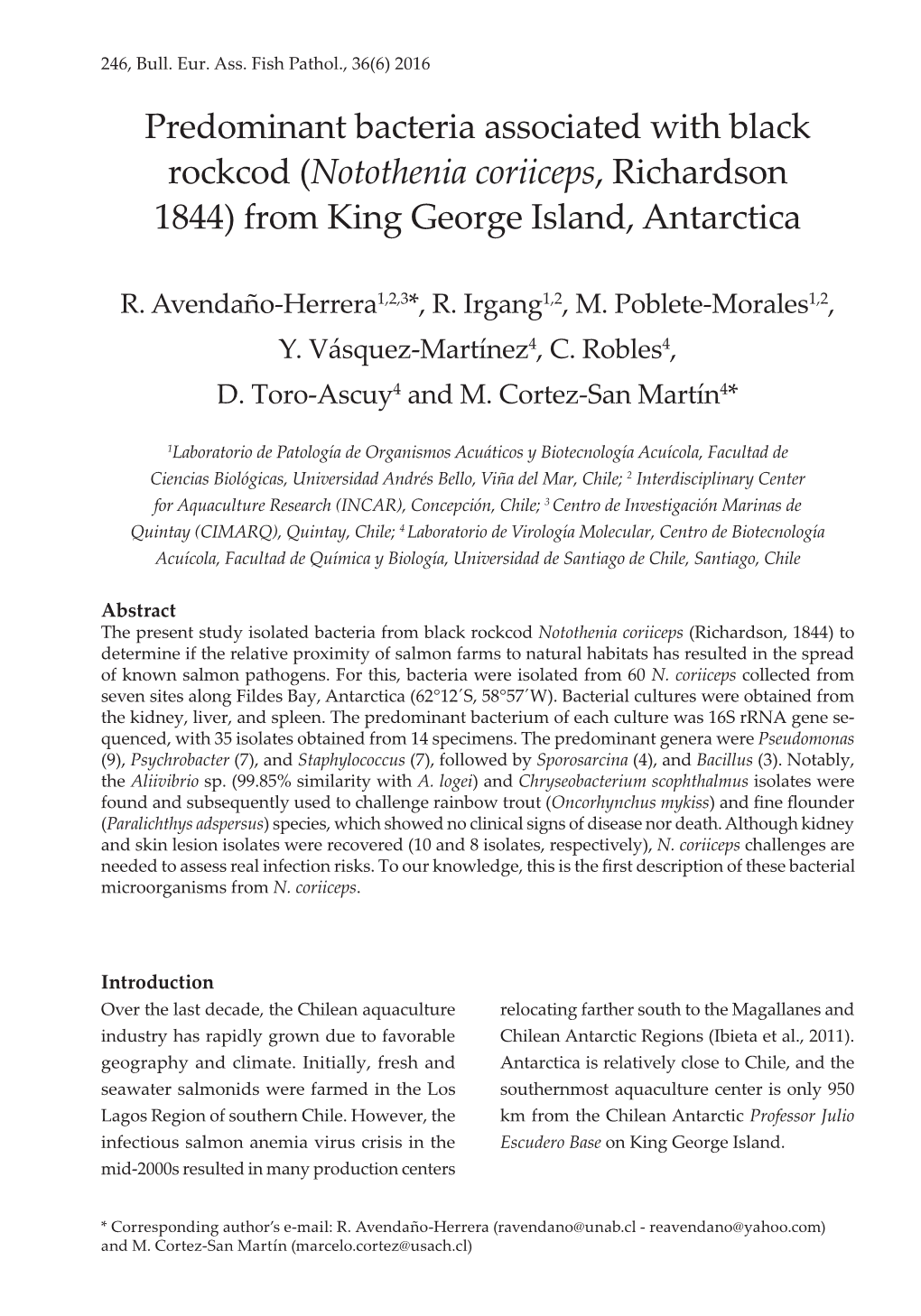 Predominant Bacteria Associated with Black Rockcod (Notothenia Coriiceps, Richardson 1844) from King George Island, Antarctica