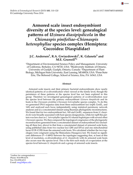 Armored Scale Insect Endosymbiont Diversity at the Species Level: Genealogical Patterns of Uzinura Diasipipdicola in the Chionas