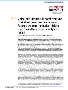 Chiral Supramolecular Architecture of Stable Transmembrane Pores
