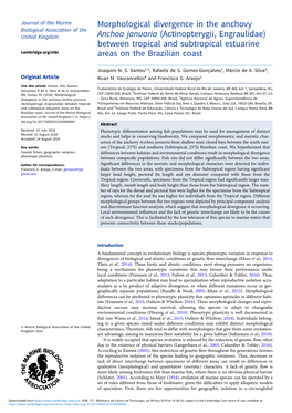 Morphological Divergence in the Anchovy Anchoa Januaria