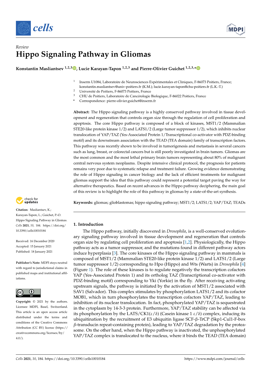 Hippo Signaling Pathway in Gliomas