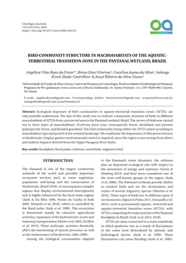 Terrestrial Transition Zone in the Pantanal Wetland, Brazil