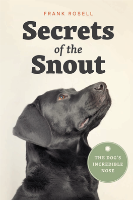 Secrets of the Snout