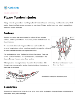 Flexor Tendon Injuries