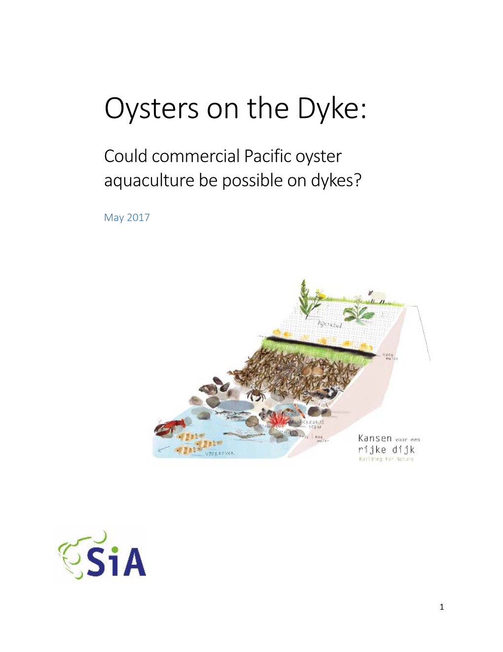 Oysters on the Dyke