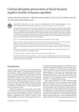 Calcium Phosphate Preservation of Faecal Bacterial Negative Moulds in Hyaena Coprolites
