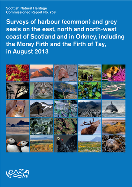 Surveys of Harbour (Common) and Grey Seals on the East, North