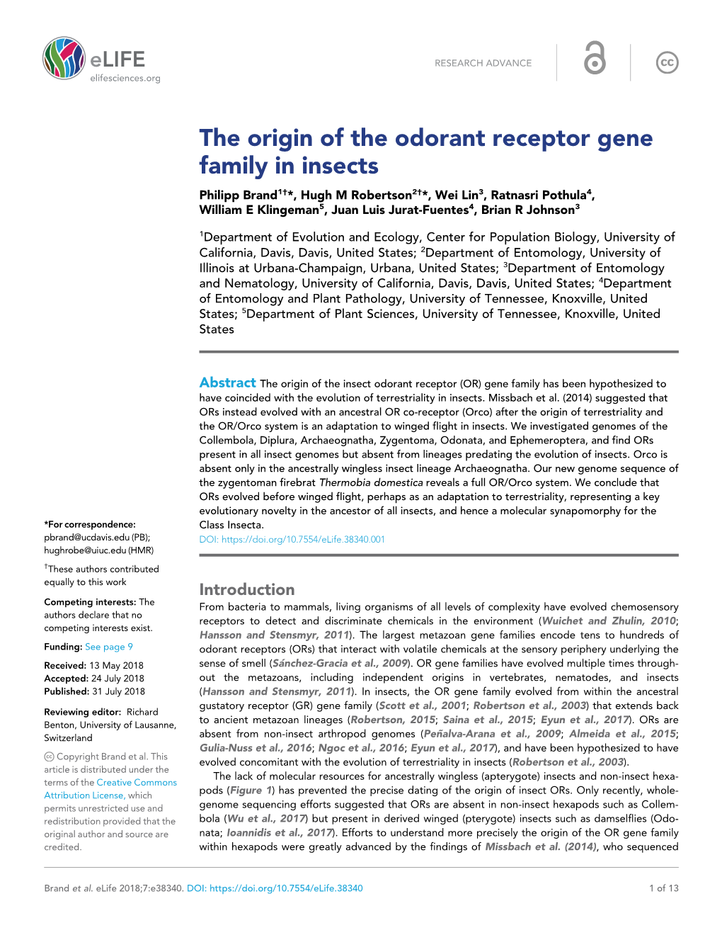 The Origin of the Odorant Receptor Gene Family in Insects