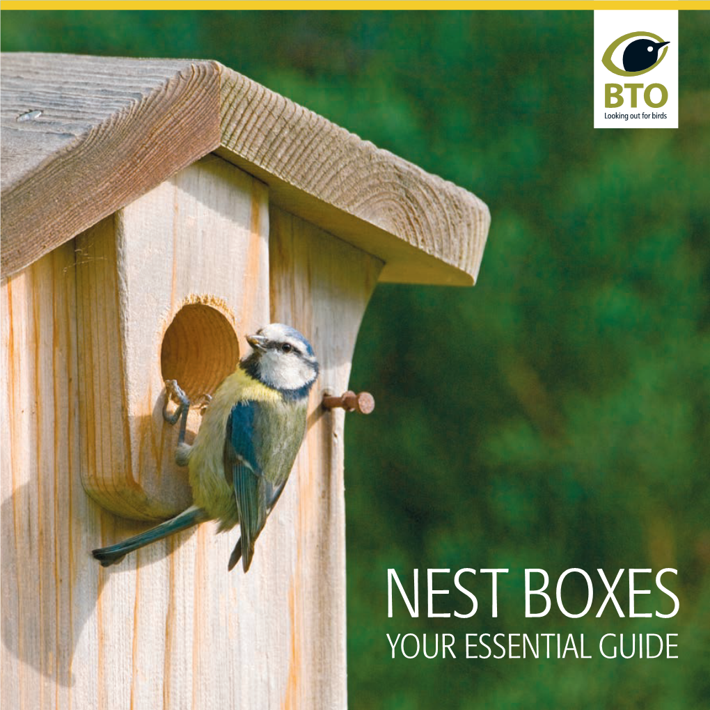 Nest Boxes Your Essential Guide Why We Need Nest Boxes - DocsLib