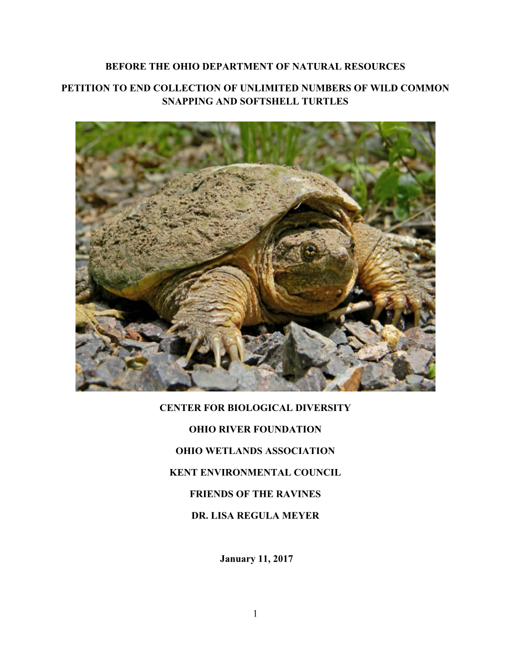 Petition to End Collection of Unlimited Numbers of Wild Common Snapping and Softshell Turtles