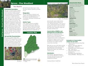 Spruce - Pine Woodland These Plants Are Frequently Found in This Community Type
