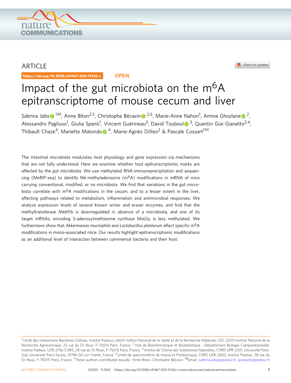 Impact of the Gut Microbiota on the M6a Epitranscriptome Of