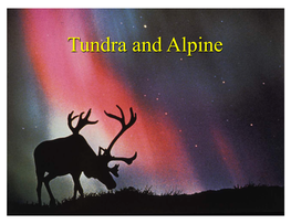 Tundra and Alpine Tundra Biomes