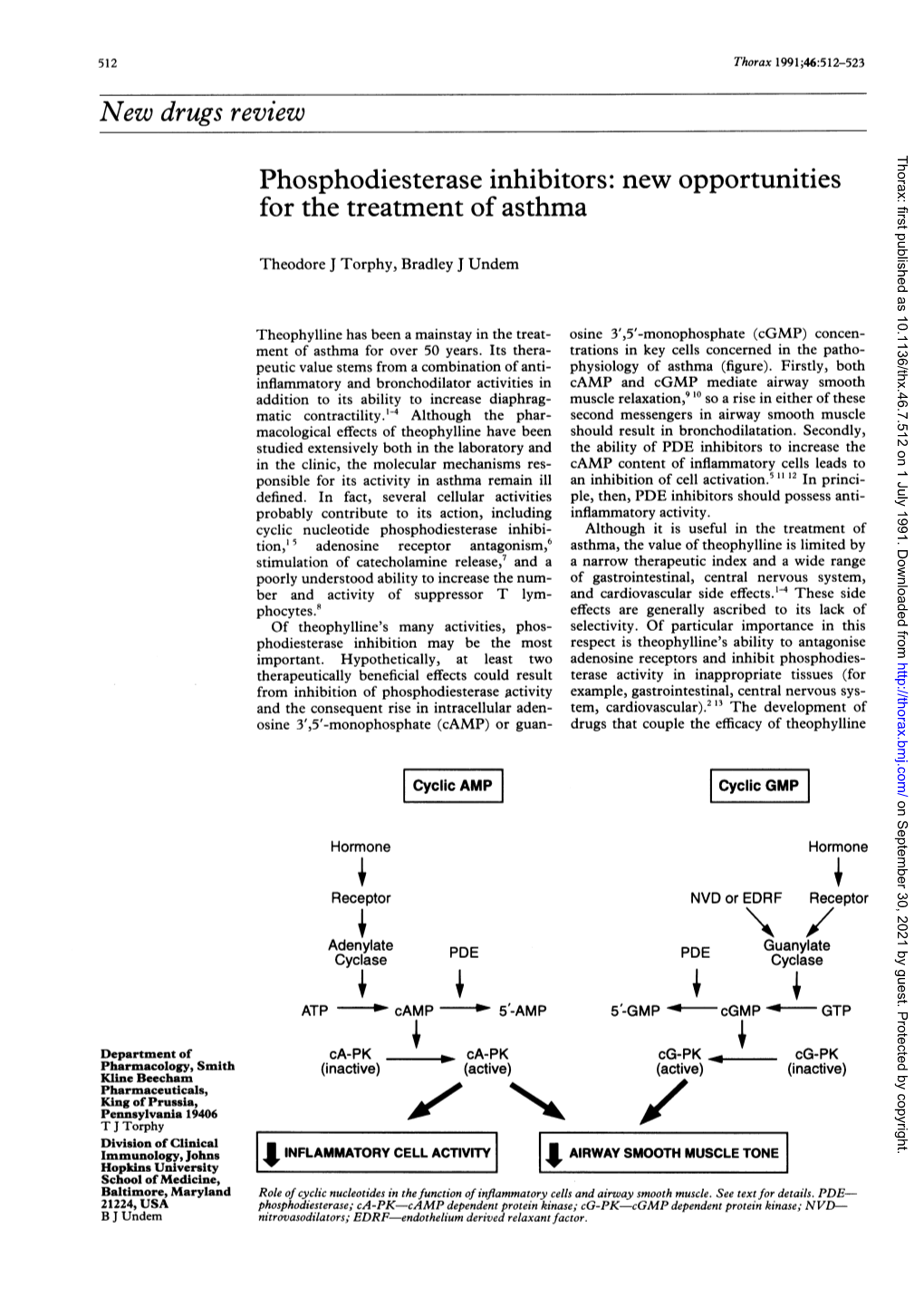 New Drugs Review Thorax: First Published As 10.1136/Thx.46.7.512 on 1 July 1991