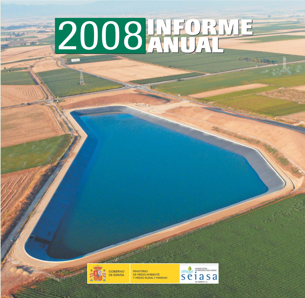 Informe Anual 2008.Pdf