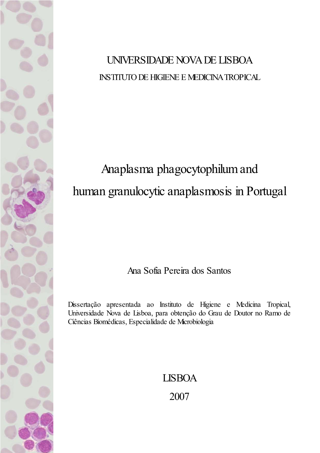 Anaplasma Phagocytophilum and Human Granulocytic Anaplasmosis in Portugal