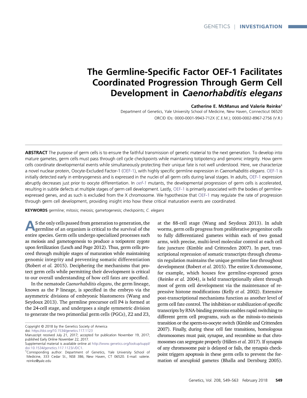 The Germline-Specific Factor OEF-1 Facilitates Coordinated Progression