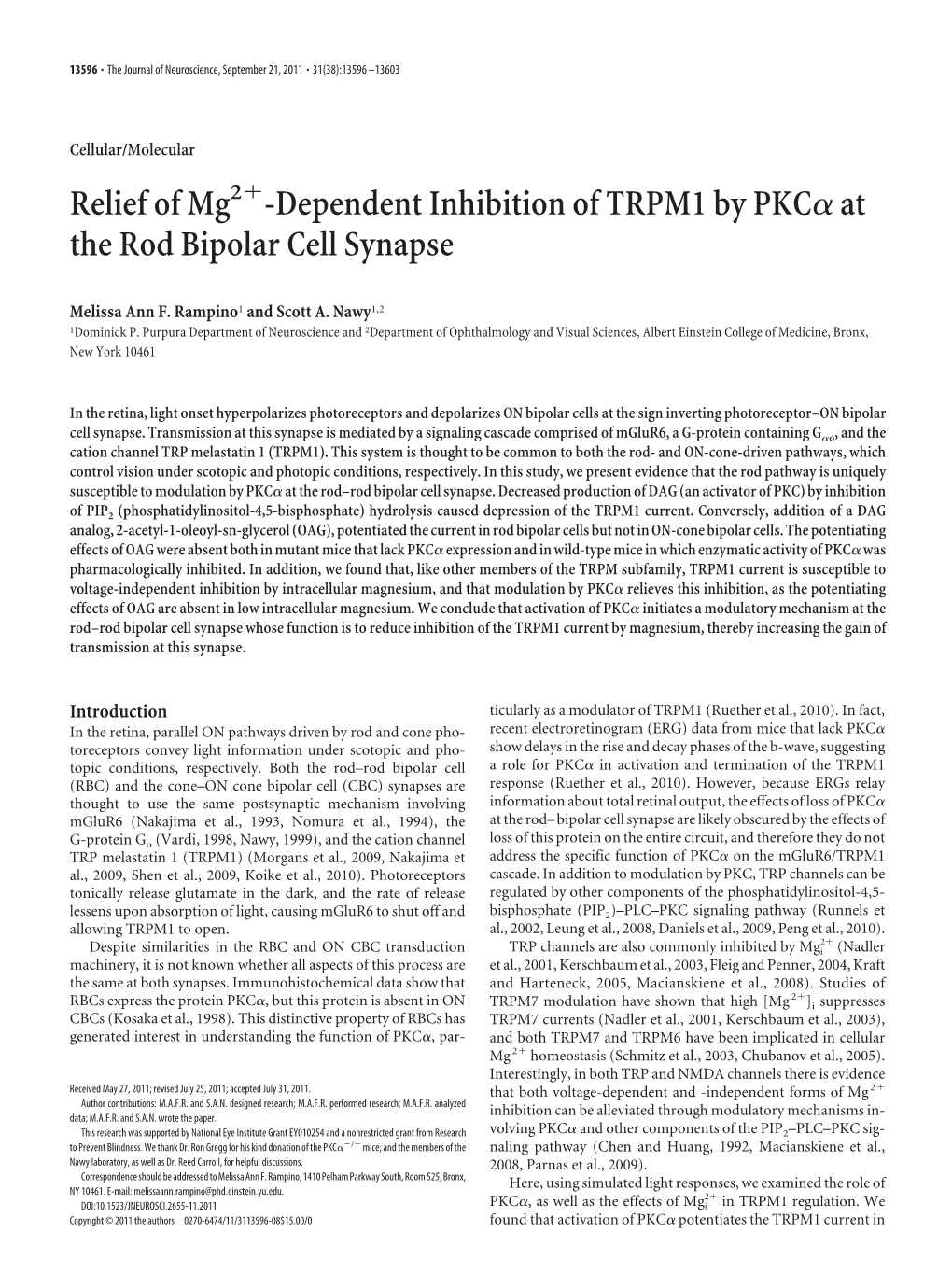 Dependent Inhibition of TRPM1 by Pkcαat the Rod Bipolar Cell Synapse