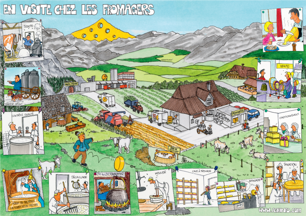 Le Fromage Suisse Le Dessèchement Traduction Et Adaptation : Agence D’Information Agricole Romande (AGIR), Lausanne 14