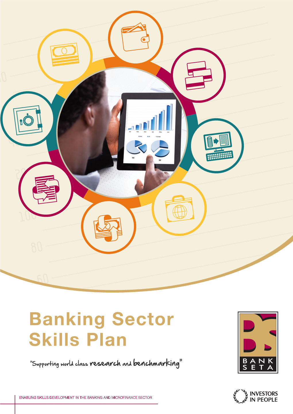 Banking Sector Skills Plan