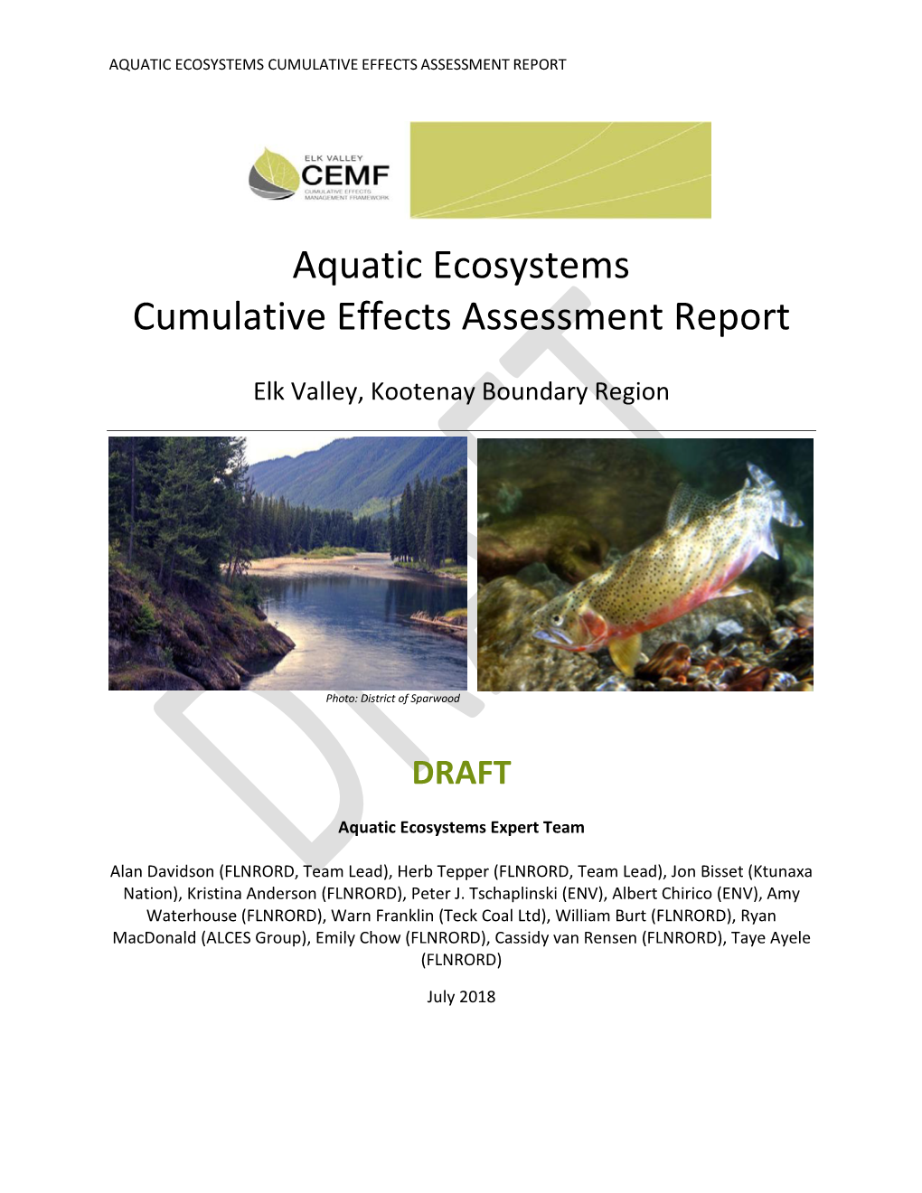 Aquatic Ecosystems Cumulative Effects Assessment Report
