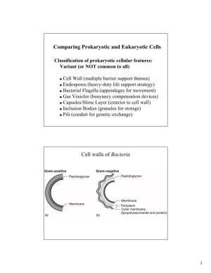 Comparing Prokaryotic and Eukaryotic Cells Cell Walls of Bacteria