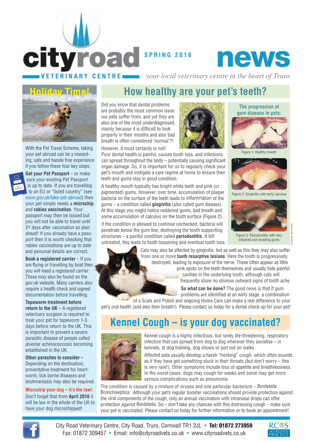 Holiday Time! Kennel Cough – Is Your Dog Vaccinated?
