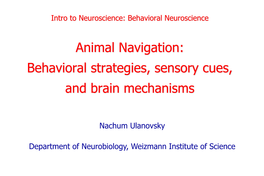Behavioral Strategies, Sensory Cues, and Brain Mechanisms