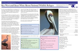 Key West and Great White Heron National Wildlife Refuges Wildlife Refuge System
