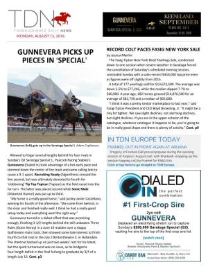 GUNNEVERA PICKS up PIECES in &gt;SPECIAL=