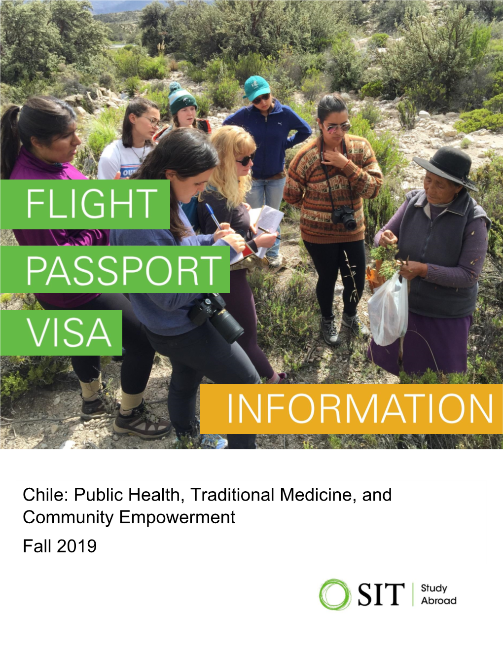 Chile: Public Health, Traditional Medicine, and Community Empowerment Fall 2019