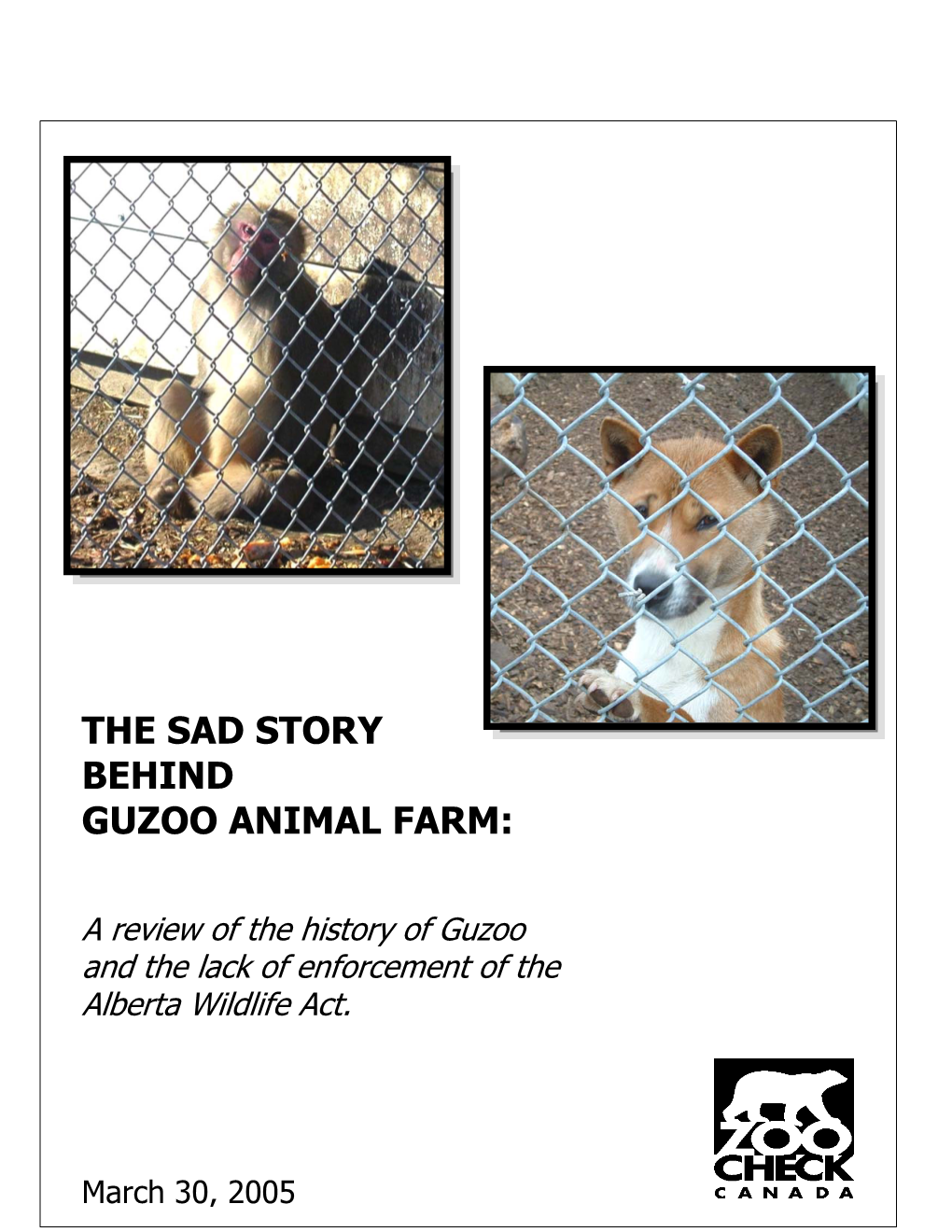 The Sad Story Behind Guzoo Animal Farm