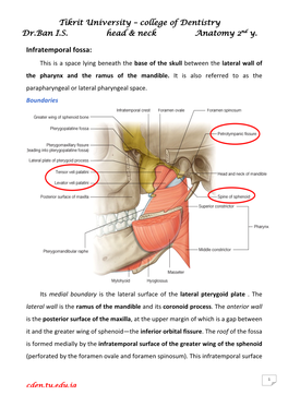 Tikrit University – College of Dentistry Dr.Ban I.S. Head & Neck Anatomy