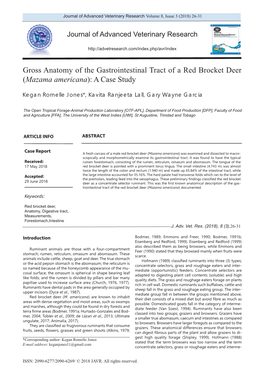 Gross Anatomy of the Gastrointestinal Tract of a Red Brocket Deer (Mazama Americana): a Case Study