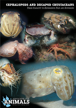 CEPHALOPODS and DECAPOD CRUSTACEANS Their Capacity to Experience Pain and Suffering 2005