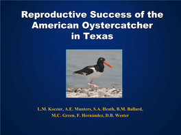 Texas AMOY Reproductive Success
