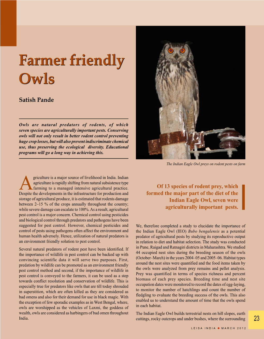 Farmer Friendly Owls