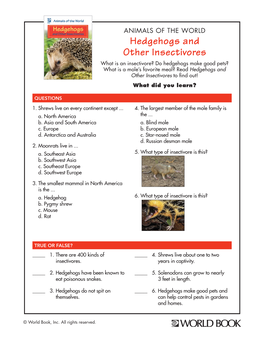 Hedgehogs and Other Insectivores