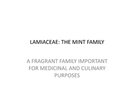 Lamiaceae: the Mint Family