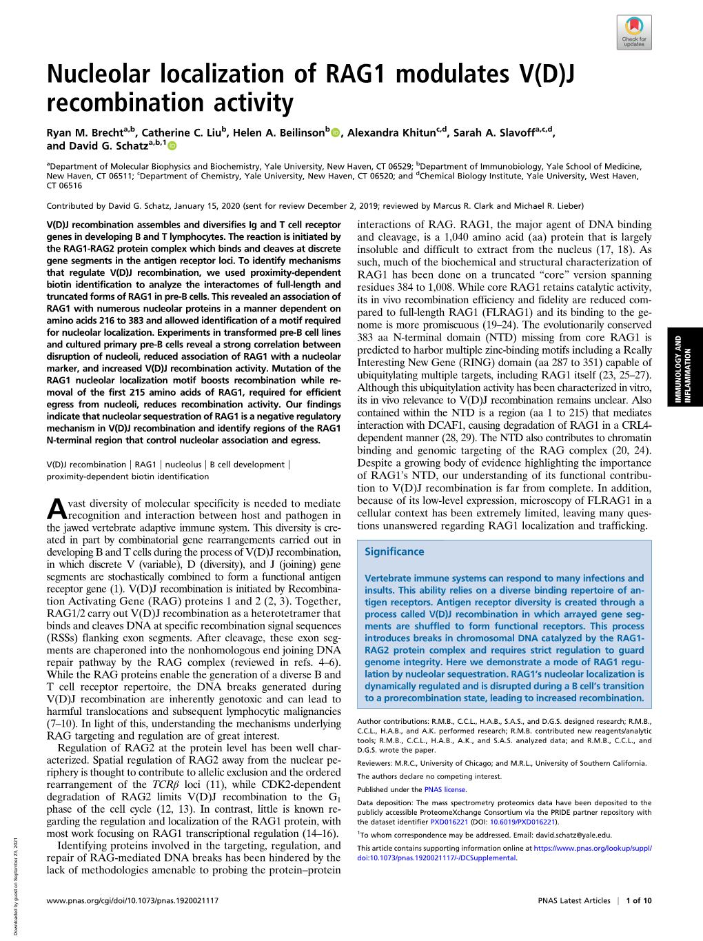 Nucleolar Localization of RAG1 Modulates V(D)J Recombination Activity