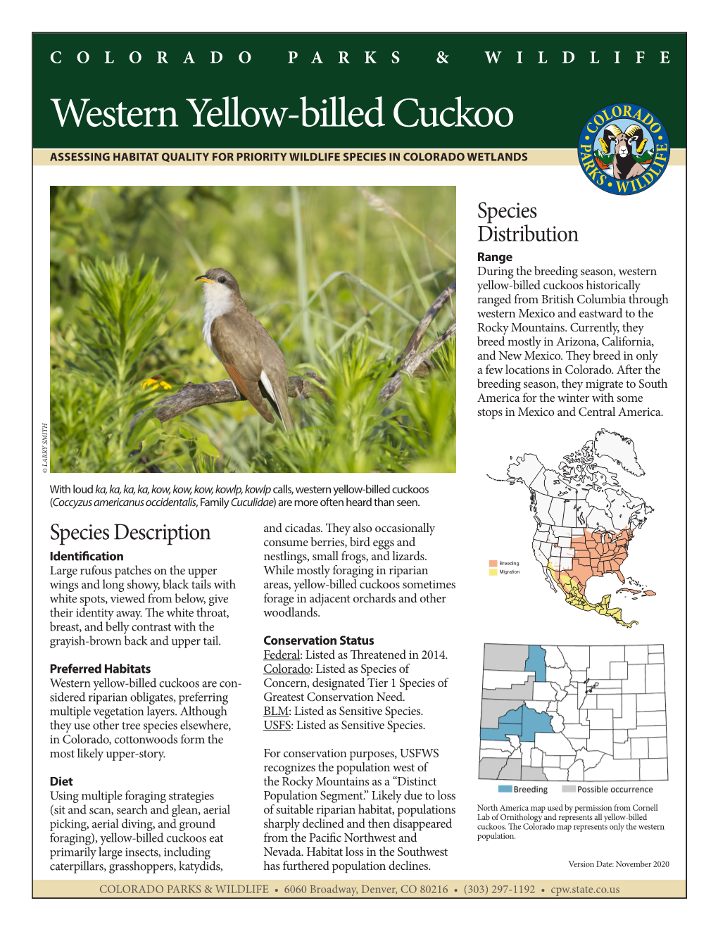 Western Yellow-Billed Cuckoo Habitat Scorecard