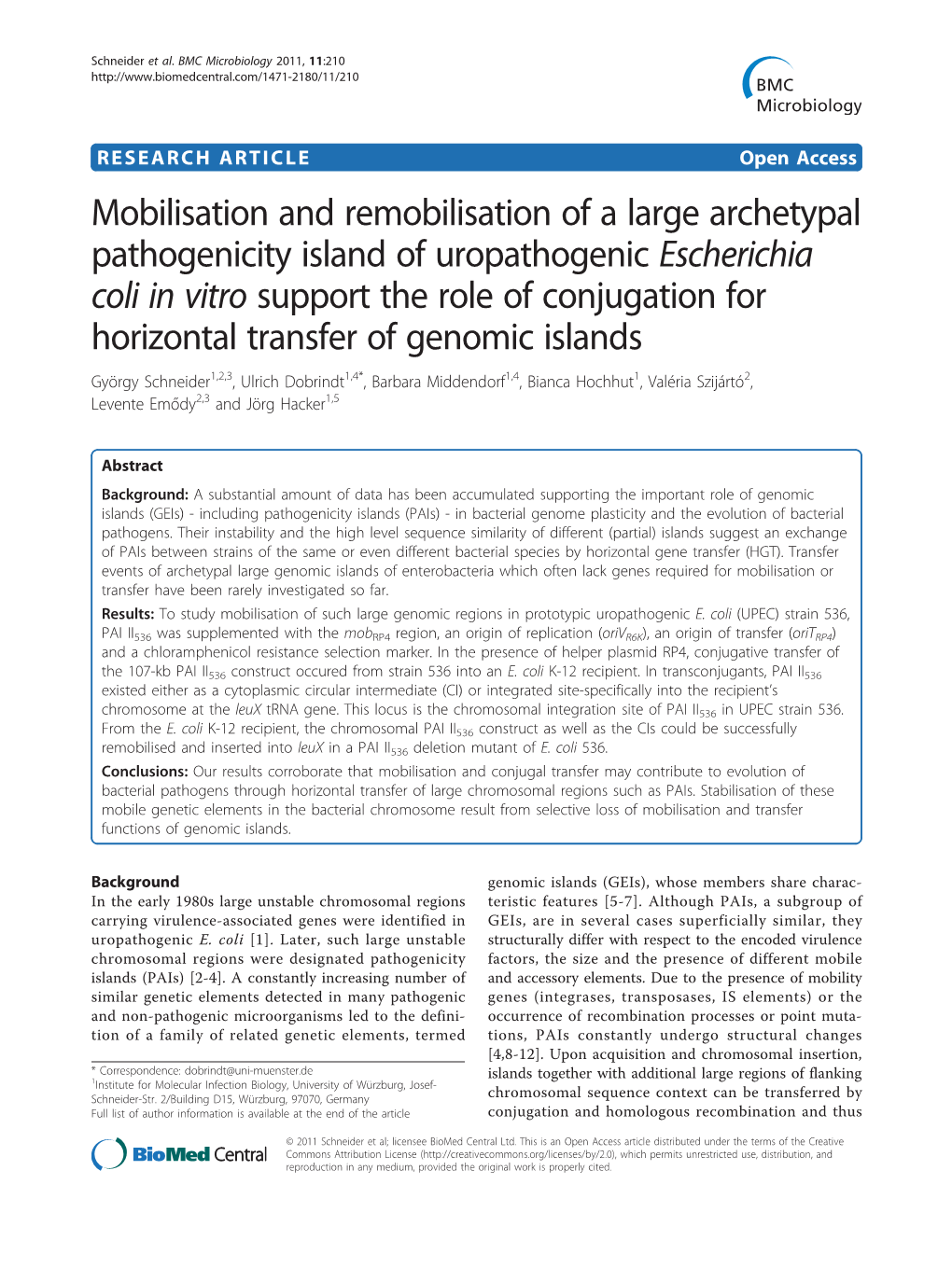 Mobilisation and Remobilisation of a Large Archetypal Pathogenicity Island of Uropathogenic Escherichia Coli in Vitro Support Th