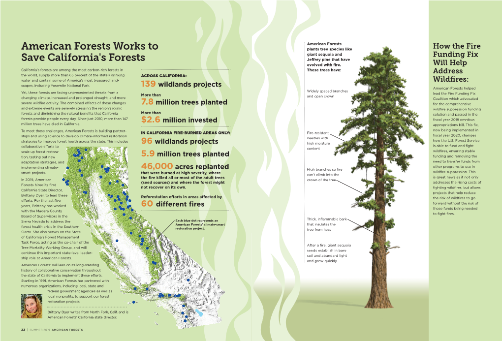 American Forests Works to Save California's Forests