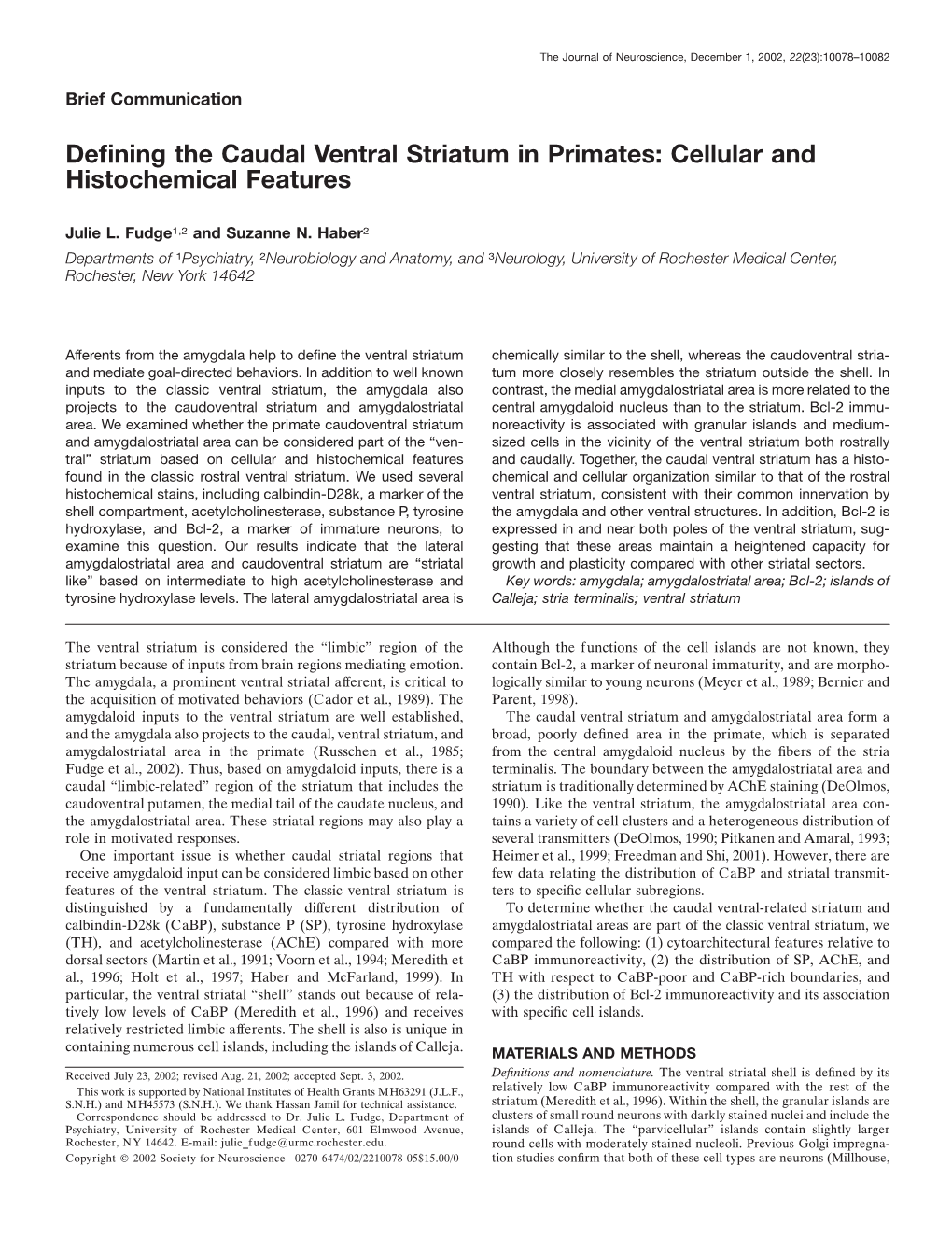 Defining the Caudal Ventral Striatum in Primates