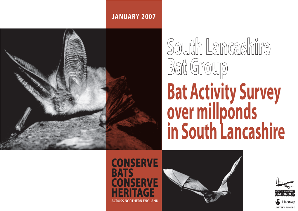 Bat Activity Survey Over Millponds in South Lancashire