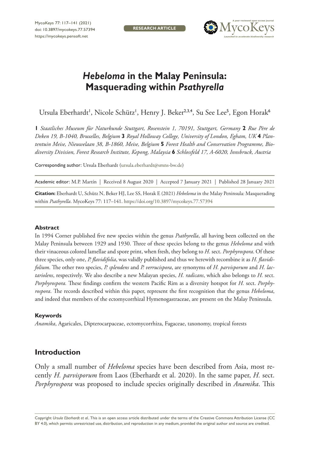 Hebeloma in the Malay Peninsula: Masquerading Within Psathyrella