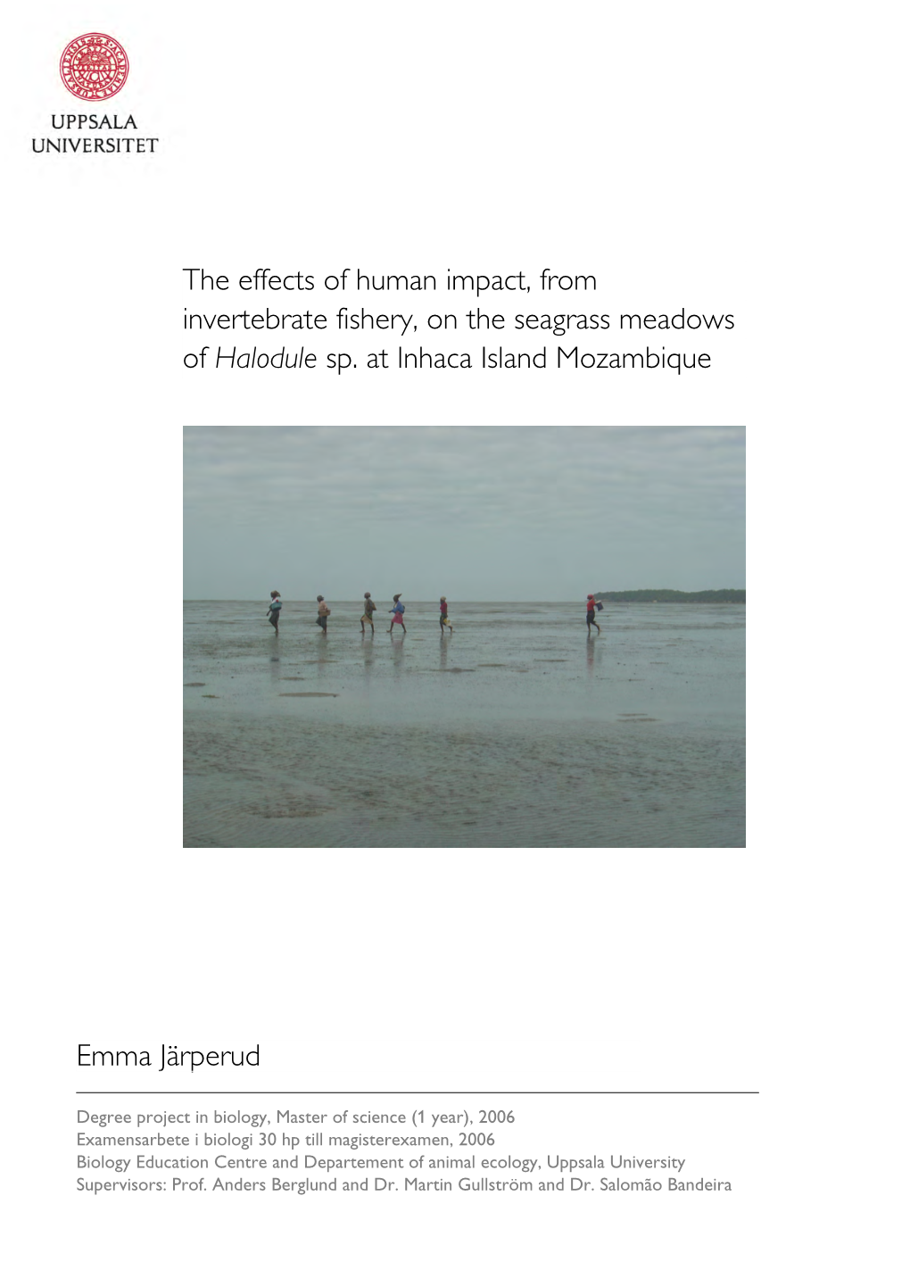 The Effects of Human Impact, from Invertebrate Fishery, on the Seagrass Meadows O F of Halodule Sp