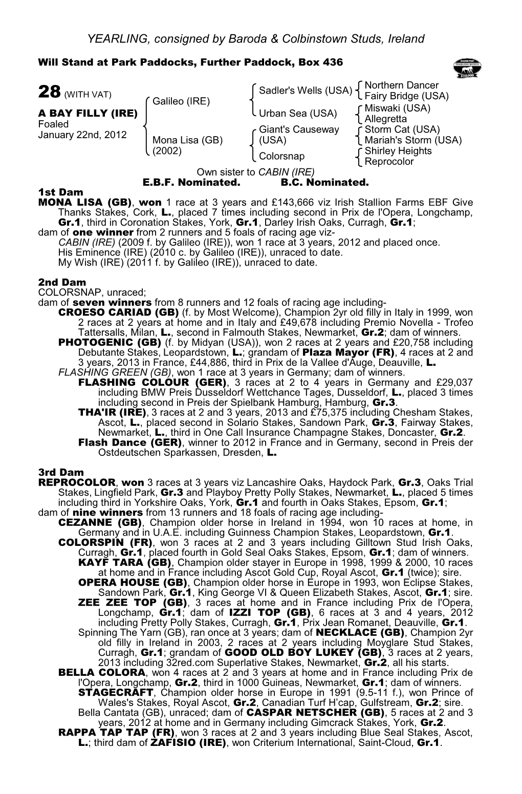 YEARLING, Consigned by Baroda & Colbinstown Studs, Ireland