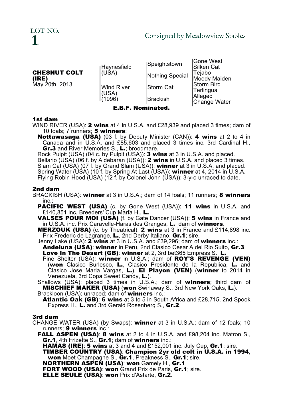 Consigned by Meadowview Stables 1 Consigned by Meadowview Stables