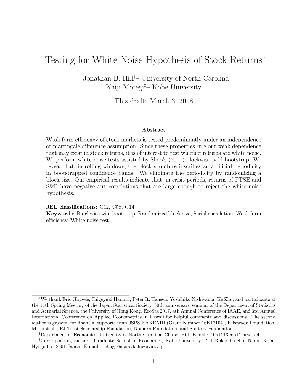 Testing for White Noise Hypothesis of Stock Returns∗